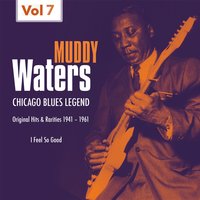 Diamonds At You Feet - Muddy Waters