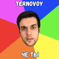 Чё ты - TERRY