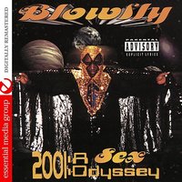 Insomnia - Blowfly