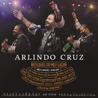 Agora Viu Que Perdeu e Chora - Arlindo Cruz