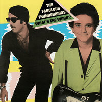 That's Enough Of That Stuff - The Fabulous Thunderbirds