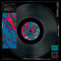 Into the Surf - Foals, Hot Since 82