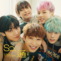 FLOWER FANTASY - N.Flying