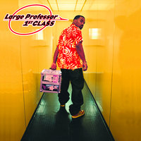 In the Sun - Large Professor
