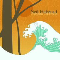 Hi-Lo and In Between - Neil Halstead
