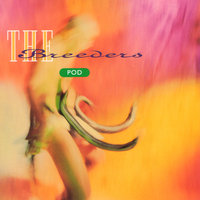 When I Was A Painter - The Breeders