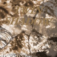 Tyrant Destroyed - Twin Shadow