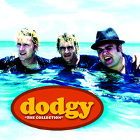Dodgy
