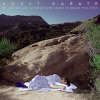 Euphoria - Adult Karate