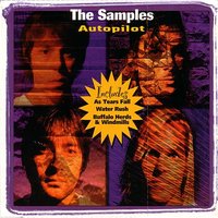 Dinosaur Bones - The Samples