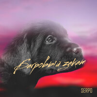 Багровый закат - SERPO