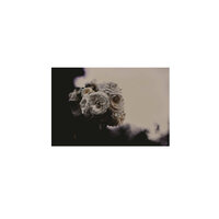 12:07 to 12:23 - Dependence, ly.Ra