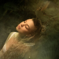 Пальмы в снегу - TAYÖKA