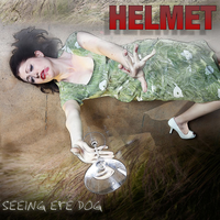 She's Lost - Helmet