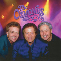 100 Days, 100 Nights - The Osmonds, Jimmy Osmond, Wayne Osmond