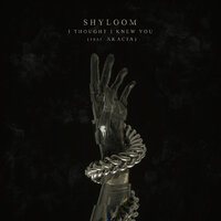 I Thought I Knew You - Shyloom, Akacia