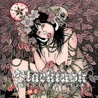 Unleash the Wrath - Black Tusk