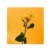 Someday I Will Find The Perfect One - Monty Datta, Daniel Dawasi