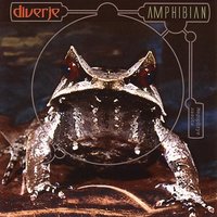 StepbackUP - Diverje
