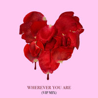 wherever you are - adam&steve, Maty Noyes