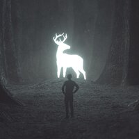 In the Dark - BRAN
