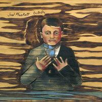 Lying on a Beach - Joel Plaskett