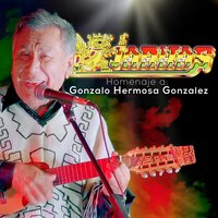 El Amor y la Libertad - Los Kjarkas
