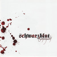 Dämmrung senkte sich von oben - Schwarzblut