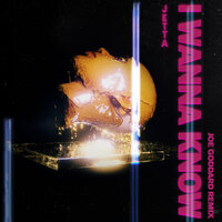 I Wanna Know - Jetta, Joe Goddard
