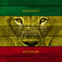 You Can't Blame The Youth - Bob Marley