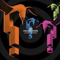 Intrigue in Tangiers (This Never Ending Now) - The Chameleons