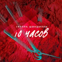 Север и Юг - Шиншиллы