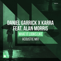 What It Looks Like - Daniel Garrick, KARRA, Alan Morris