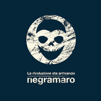 Sei tu la mia città - Negramaro