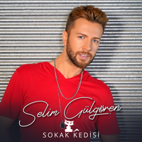 Sokak Kedisi - Selim Gülgören