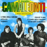 Che aereo stupendo, la speranza - I Camaleonti