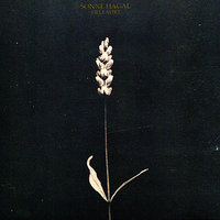 Memory, Hither Come - Sonne Hagal