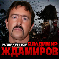 Разведённые - Владимир Ждамиров