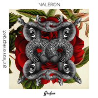 Aç Yüzünü Göreyim - Valeron, Erol Evgin