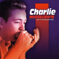 I'm A Stranger - Charlie Musselwhite