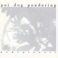 Catacombs - Poi Dog Pondering