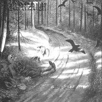 Det Som En Gang Var - Burzum