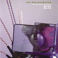 Bizarre Love Triangle - Poi Dog Pondering
