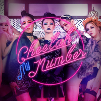 My Number - CHEETAH