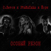 Особый резон - PRANAYAMA, Сергей Летов
