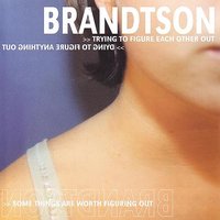 Bricks And Windows - Brandtson