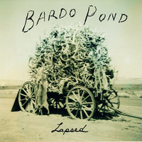 Pick My Brain - Bardo Pond