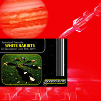 I Used to Complain Now I Don't - White Rabbits, Alexander Joseph Even, Stephen Daniel Patterson