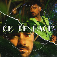 Ce te faci? - Liviu Teodorescu