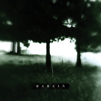 Morning Doubts - Barzin